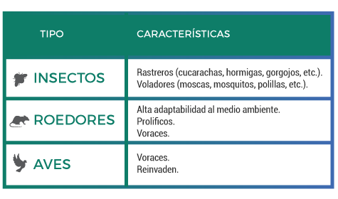 Que es una plaga?